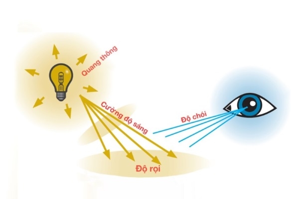 Ý nghĩa của độ rọi đối với đèn LED